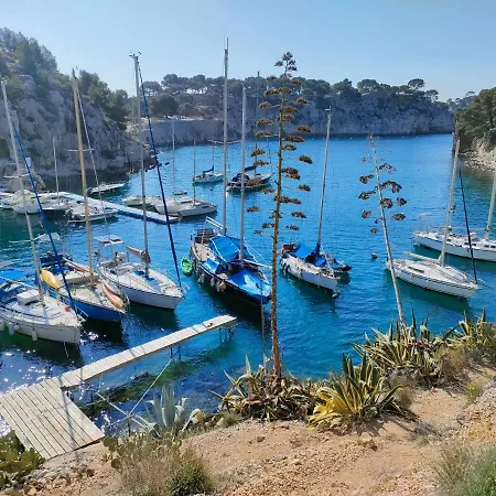 Maison 6 Personnes, Vue Avec Jardin, Barbecue, Paddle