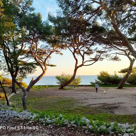 Maison 6 Personnes, Vue Avec Jardin, Barbecue, Paddle فيلة *